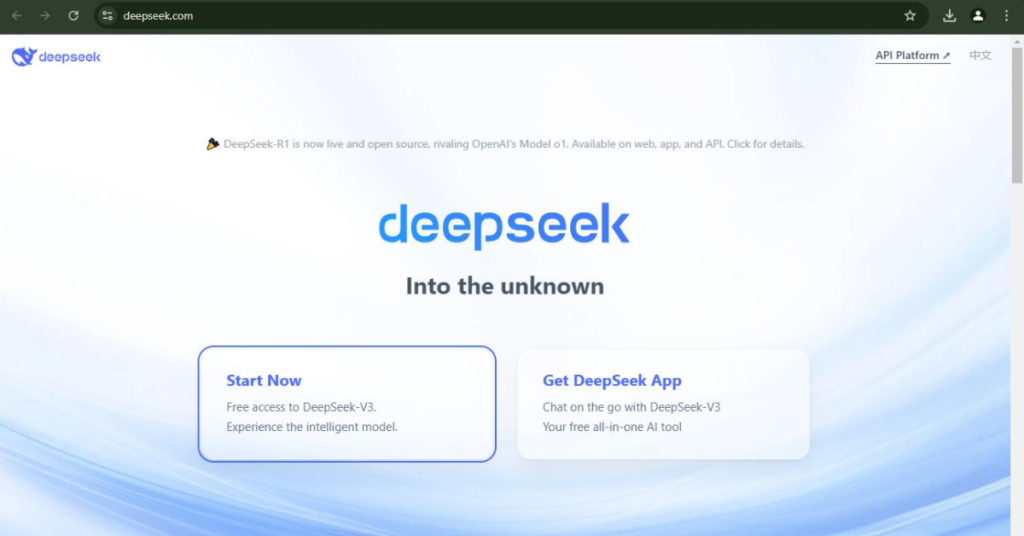 DeepSeek AI Interface 2025